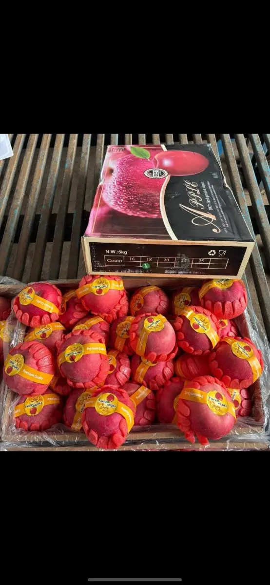 Fuji Apple Giftpack